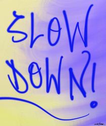 Slow Down by Vincent J. Newman