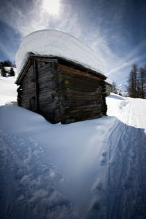 Winter by Helge Reinke