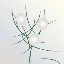 Pearls on branches von feiermar