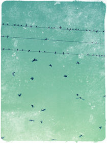 Birds on the wire by Stephanie Gille