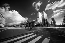 Rotterdam Centraal  by Rob Hawkins