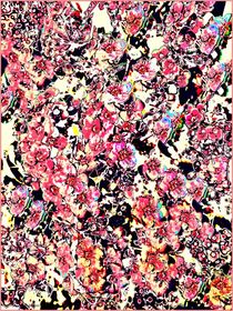 ~ Flowers Composition ~ von Sandra  Vollmann