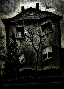 A Twisted House by mimulux