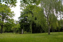 Südfriedhof Leipzig 22 - Der Park by langefoto