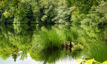 Green lake reflection von Melanie Fischer