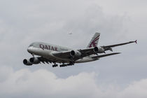 Qatar Airlines Airbus And Seagull Escort by David Pyatt