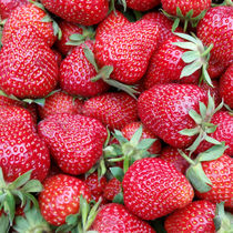 fresh strawberries 1 von feiermar