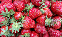 fresh strawberries 2 von feiermar