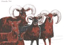 MOUFFLON SHEEP von Elisaveta Sivas