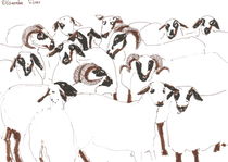 SHEEP von Elisaveta Sivas
