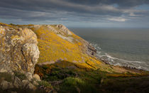 Pennard cliffs by Leighton Collins