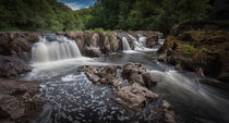Cenarth Falls by Leighton Collins