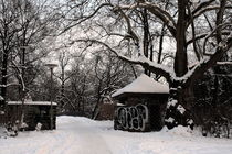 Winterliche Impressionen aus dem Palmengarten 8 by langefoto