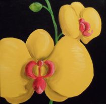 Gelbe Orchidee von Barbara Kaiser