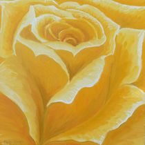 Gelbe Rose by Barbara Kaiser