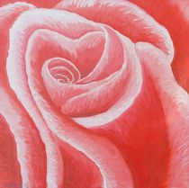 Rote Rose by Barbara Kaiser