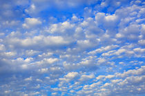 Lots of tiny clouds. by David Hare