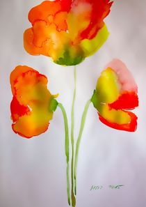 poppies by Maria-Anna  Ziehr