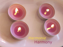 Harmonie - Harmony by Stefanie Bednarzyk