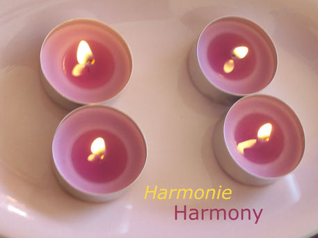 Harmonie-harmony