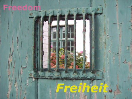 Freedom-freiheit