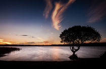 Kenfig Pool and tree by Leighton Collins