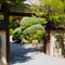 Entrance-gate-of-the-japanese-garden