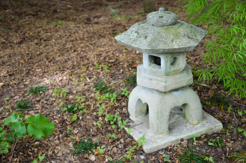 Japanese-lantern