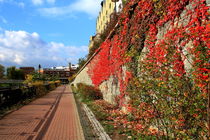 Herbst 10 by langefoto