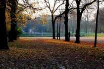Herbst 6 by langefoto