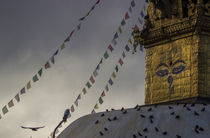 Swayambhunath Stupa von Bikram Pratap Singh