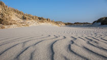 Sandwaves von nordfriesland-und-meer-fotografie
