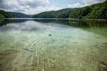Parco Nazionale dei laghi di Plitvice - Croazia von Federico C.