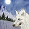 The-lone-wolf-painting