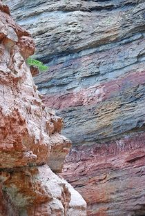 Felsformation mit einem einsamen Baum im Grand Canyon Südtirols... by loewenherz-artwork