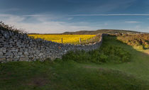 Dry stone wall by Leighton Collins