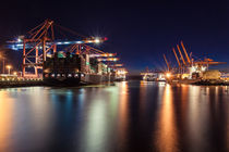 Containerterminals Hamburg Waltershofer Hafen von Moritz Wicklein
