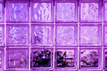 Purple window. by David Hare