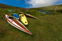Abandoned canoes von Leighton Collins