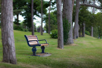 Remembrance bench von Leighton Collins