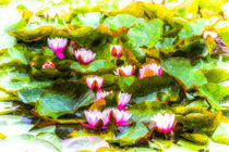 Water Lily Art by David Pyatt