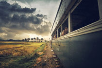 Train to Tuntang by irwan setiawan