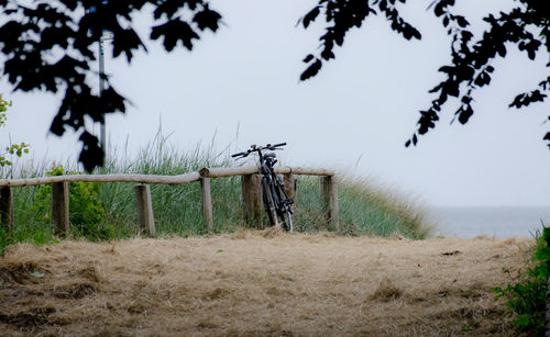 Strandweg-fahrrad-2895-zingst-2015-af