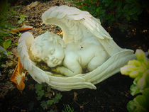 Der schlafende Engel by Eva Dust