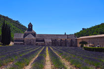 senanque abbey by emanuele molinari