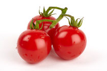 Tomatentrio - Tomatoes Trio by Thomas Klee