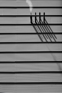 Rauch & Schatten  von Bastian  Kienitz