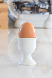 Boiled egg in white. by David Hare
