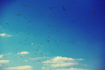 Brighton Skies by Arianna Biasini