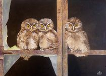 Owls in the window von Wendy Mitchell